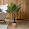 American Art Decor 4ft Artificial Rainbow Taro Tree in Cement Pot Faux Plant